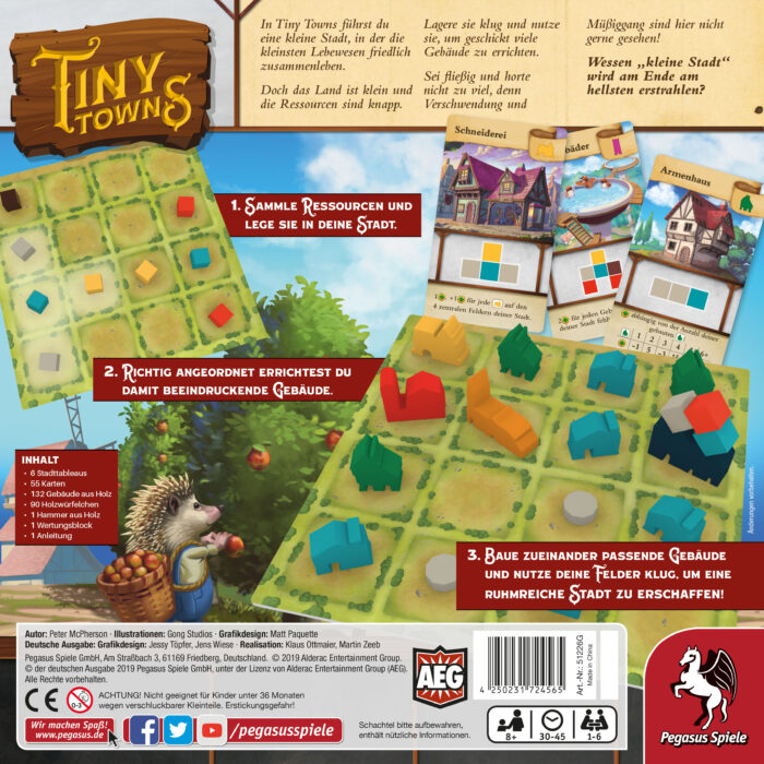 Pegasus Tiny Towns deutsch Der Spielelöwe 3 scaled