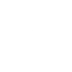 Der Spieleloewe Logo Transparent