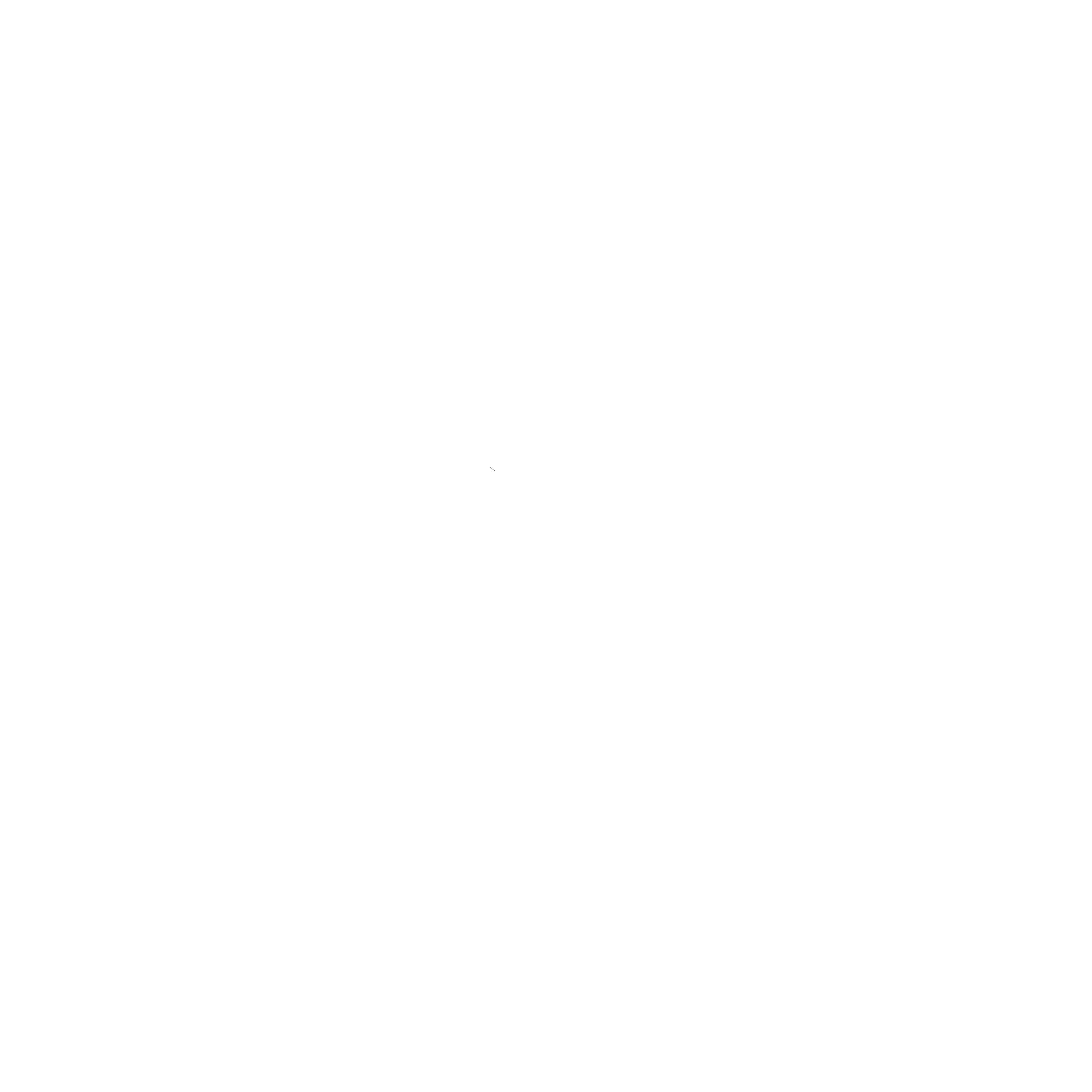 Der Spieleloewe Logo Transparent