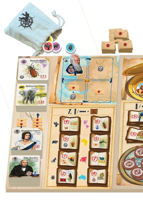 darwin korrespondenzen spieleloewe aufbau